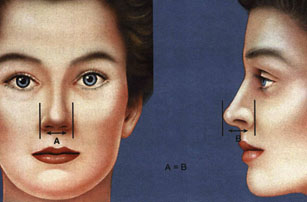 معیارهای زیبایی بینی و صورت