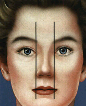 معیارهای زیبایی بینی و صورت